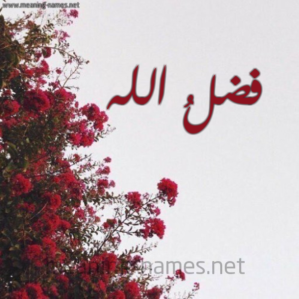شكل 18 صوره الورد الأحمر للإسم بخط رقعة صورة اسم فضلُ الله Fdl-Allah
